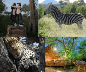 Yogahub Wild At Heart